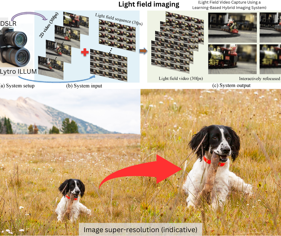 Light field imaging and Dual Attention Networks